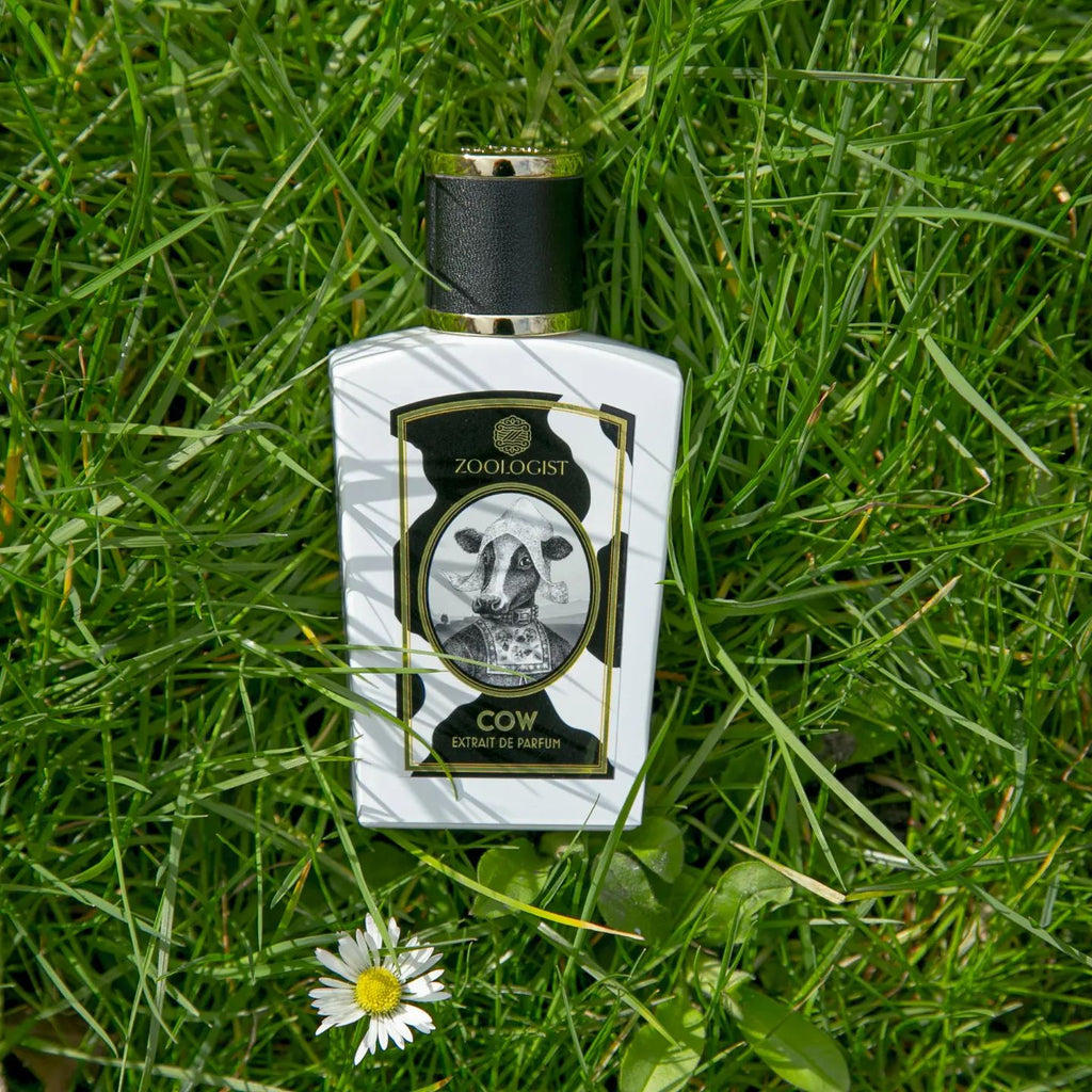 Cowming soon: Cow by Zoologist | Bloom Perfumery London