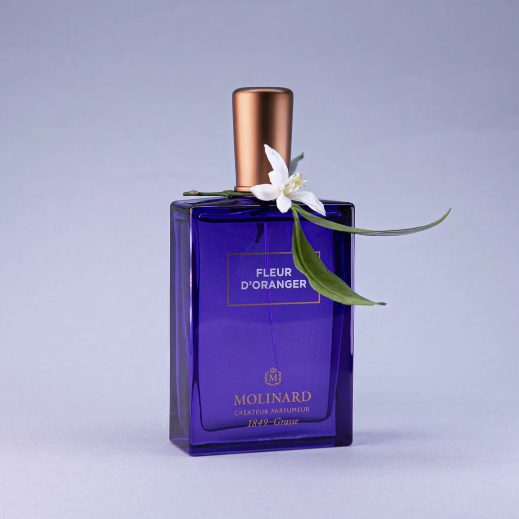 Now in bloom bitter orange. Bloom Perfumery London