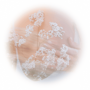 Chasing Light 19.10 - Neydo - Bloom Perfumery