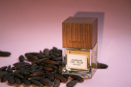 Ambar del Sur (Discontinued) - CARNER - Bloom Perfumery