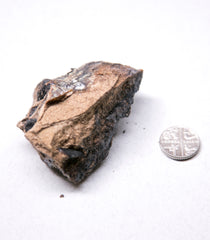 Black gold ambergris (discontinued) - Natural Ambergris عَنْبَر - Bloom Perfumery