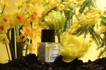 A Sorta Fairytale in Hyde Park - Strangers Parfumerie - Bloom Perfumery