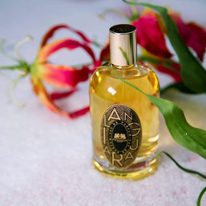 Ilanguara - Phaedon Paris - Bloom Perfumery
