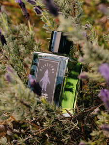 Silvestre Lavender - Bravanariz - Bloom Perfumery