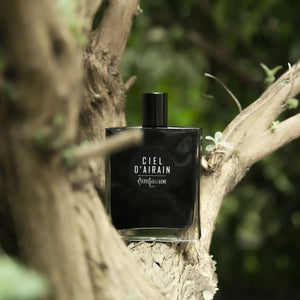 Ciel D’Airain - Pierre Guillaume Black Collection - Bloom Perfumery