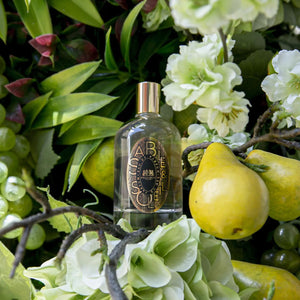 Sable & Soleil - Phaedon Paris - Bloom Perfumery