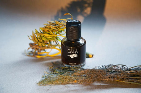 Cala - Bravanariz - Bloom Perfumery