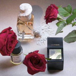 Rose and Dragon - CARNER - Bloom Perfumery