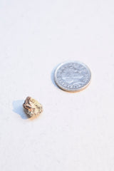 White Ambergris 0.12 g SOLD - Natural Ambergris عَنْبَر - Bloom Perfumery