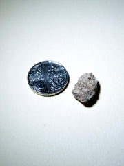 White Ambergris 0.16 g SOLD - Natural Ambergris عَنْبَر - Bloom Perfumery